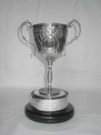 The Warner Cup