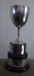 The Evelyn Cup