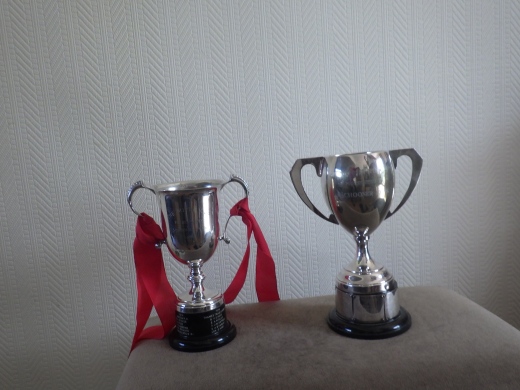 The Mitre Cups